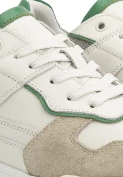 G Grayson - Sneakers Laag - Green -Schoenen Winkel aa0913e7d44d4e95bd58173577d60eb2